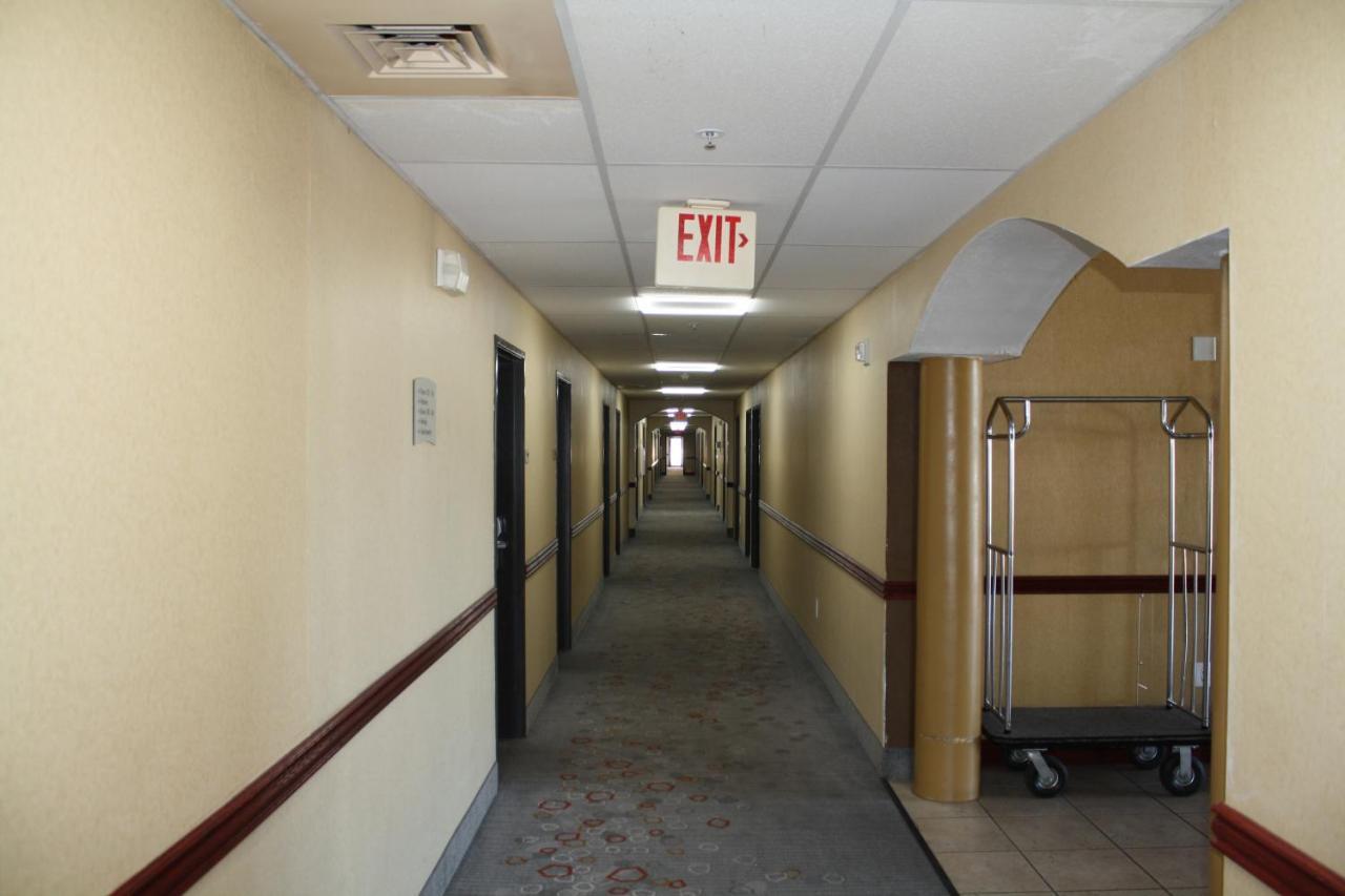 Quality Inn & Suites Wichita Falls I-44 Extérieur photo